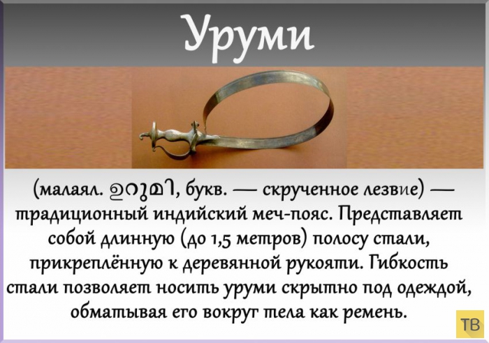 ��� 24: ����� ��������� ���� (24 ����)