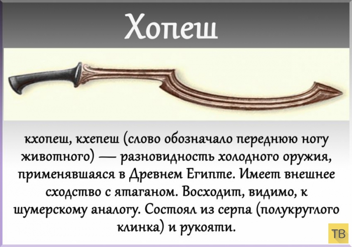 ��� 24: ����� ��������� ���� (24 ����)