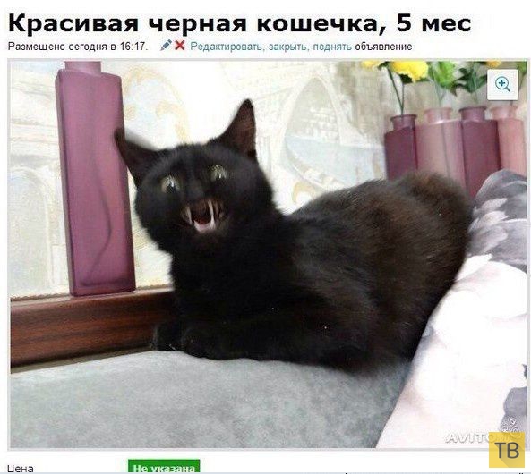 ���������� ����������� �� ���������� �����, ����� 208 (26 ����)