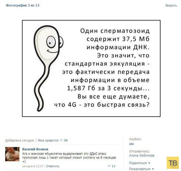 ���������� ����������� �� ���������� �����, ����� 208 (26 ����)