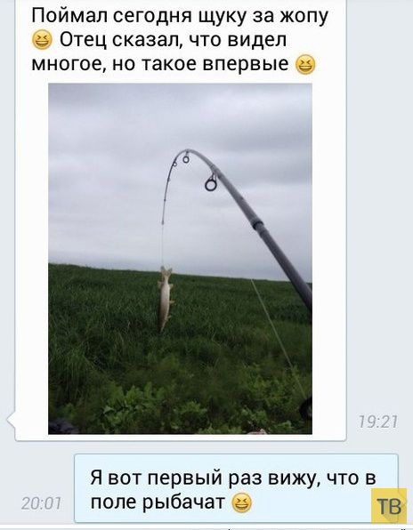 ���������� ����������� �� ���������� �����, ����� 208 (26 ����)