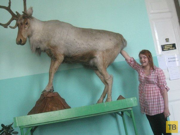 ��������� �������� ������ �� ���������� �����, ����� 6 (14 ����)