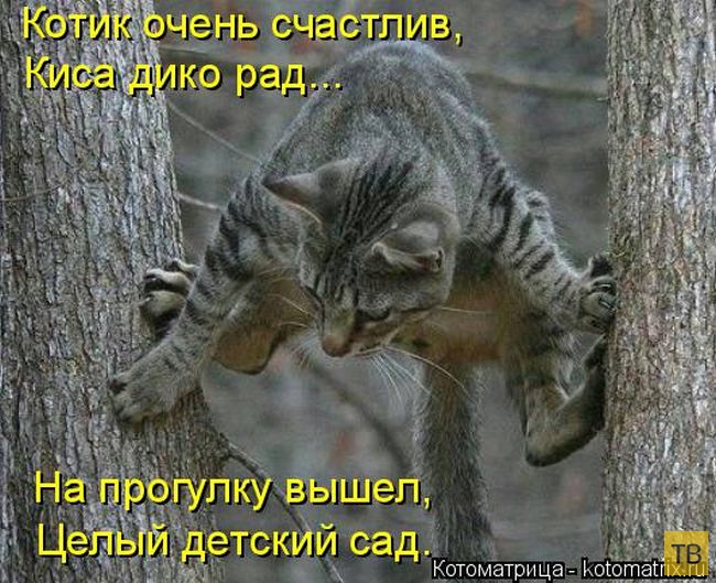 ������ ����������� �� ������, ����� 3 (50 ����)