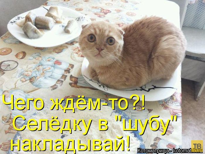 ������ ����������� �� ������, ����� 3 (50 ����)