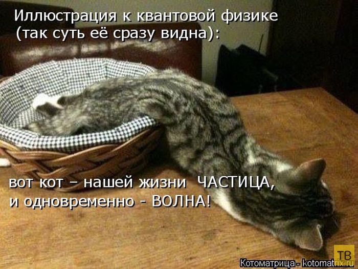 ������ ����������� �� ������, ����� 3 (50 ����)