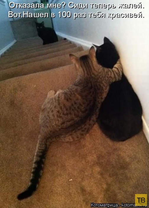 ������ ����������� �� ������, ����� 3 (50 ����)