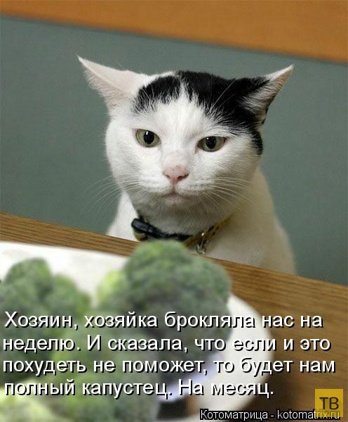 ������ ����������� �� ������, ����� 3 (50 ����)