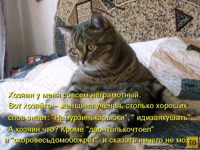 ������ ����������� �� ������, ����� 3 (50 ����)