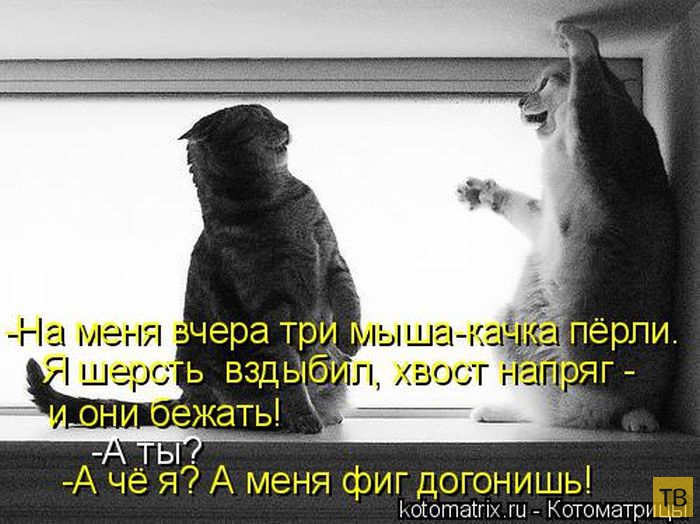 ������ ����������� �� ������, ����� 3 (50 ����)