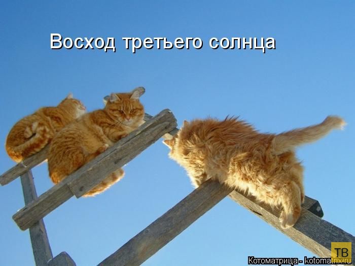 ������ ����������� �� ������, ����� 3 (50 ����)