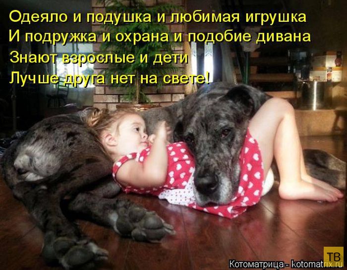 ������ ����������� �� ������, ����� 3 (50 ����)