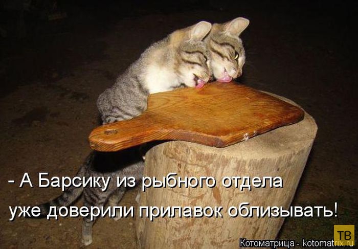 ������ ����������� �� ������, ����� 3 (50 ����)