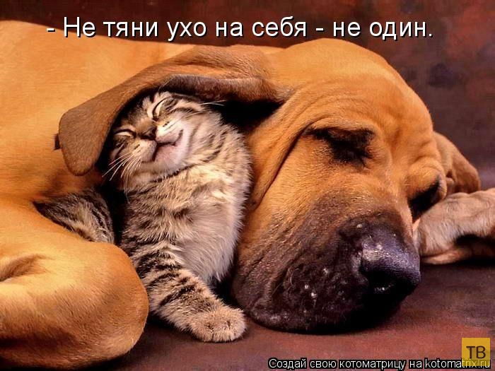 ������ ����������� �� ������, ����� 3 (50 ����)