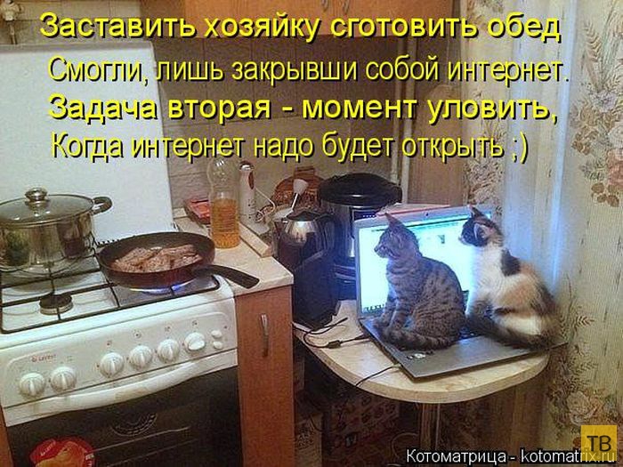 ������ ����������� �� ������, ����� 3 (50 ����)