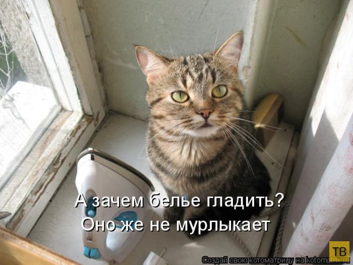 ������ ����������� �� ������, ����� 3 (50 ����)