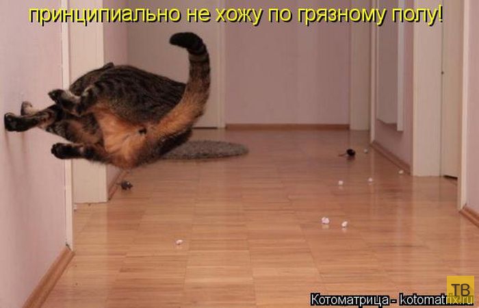 ������ ����������� �� ������, ����� 3 (50 ����)