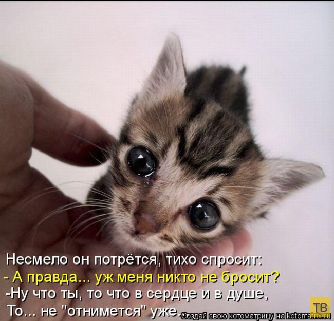 ������ ����������� �� ������, ����� 3 (50 ����)