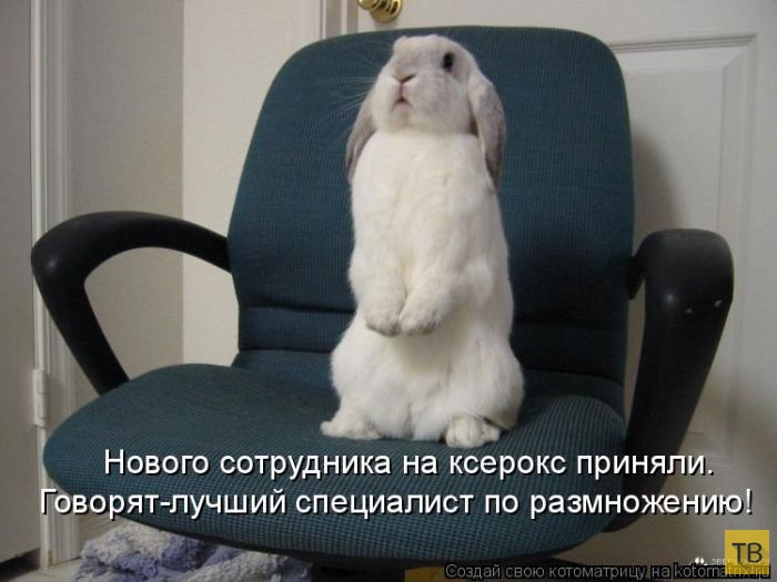 ������ ����������� �� ������, ����� 3 (50 ����)