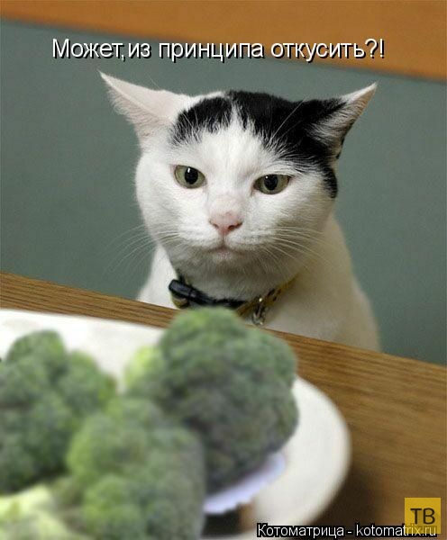 ������ ����������� �� ������, ����� 3 (50 ����)