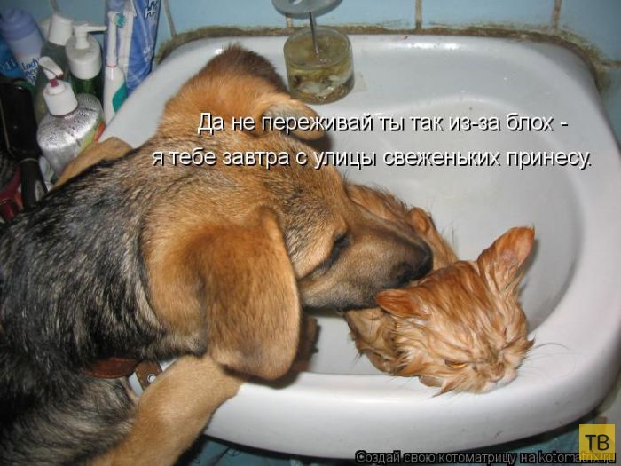 ������ ����������� �� ������, ����� 3 (50 ����)