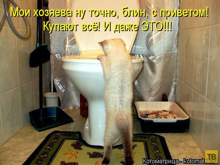 ������ ����������� �� ������, ����� 3 (50 ����)