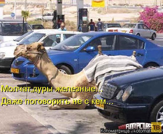 ������ ����������� �� ������, ����� 3 (50 ����)