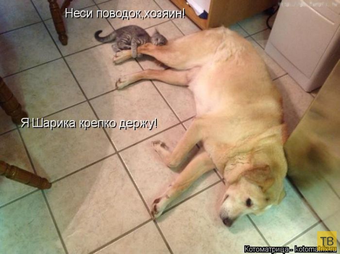 ������ ����������� �� ������, ����� 3 (50 ����)