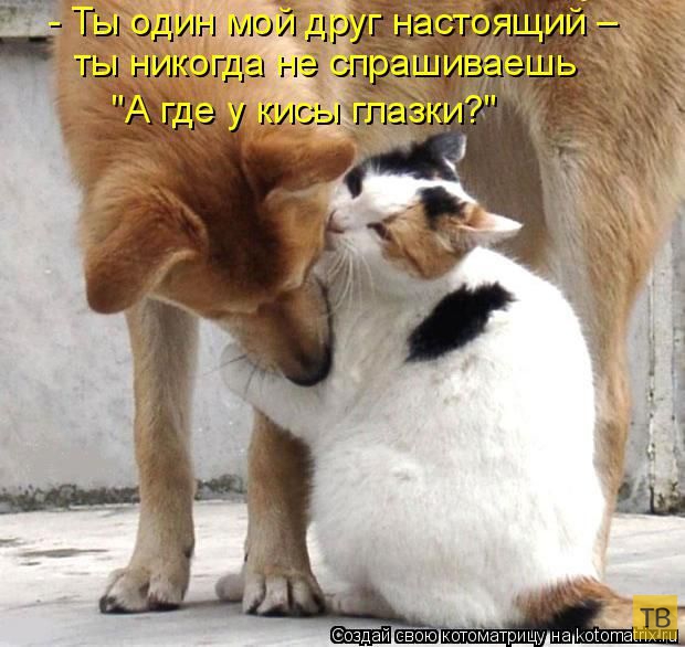 ������ ����������� �� ������, ����� 3 (50 ����)