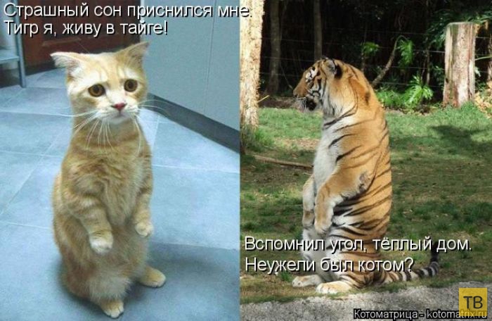 ������ ����������� �� ������, ����� 3 (50 ����)