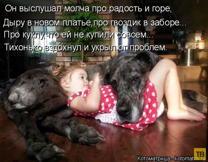 ������ ����������� �� ������, ����� 3 (50 ����)