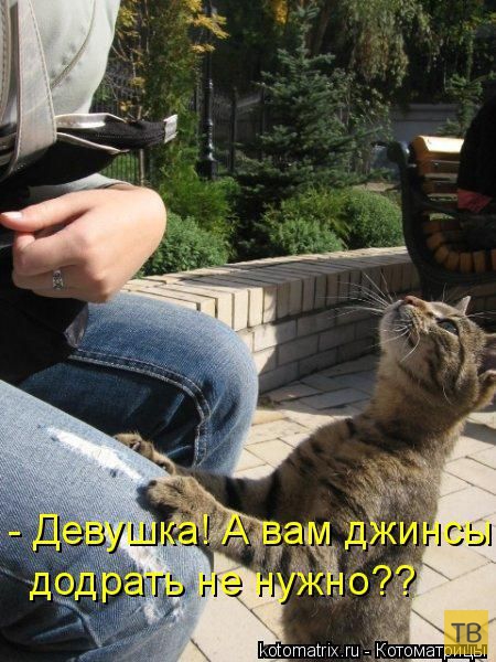 ������ ����������� �� ������, ����� 3 (50 ����)