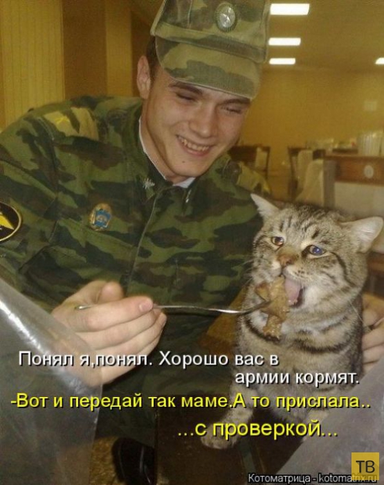 ������ ����������� �� ������, ����� 3 (50 ����)