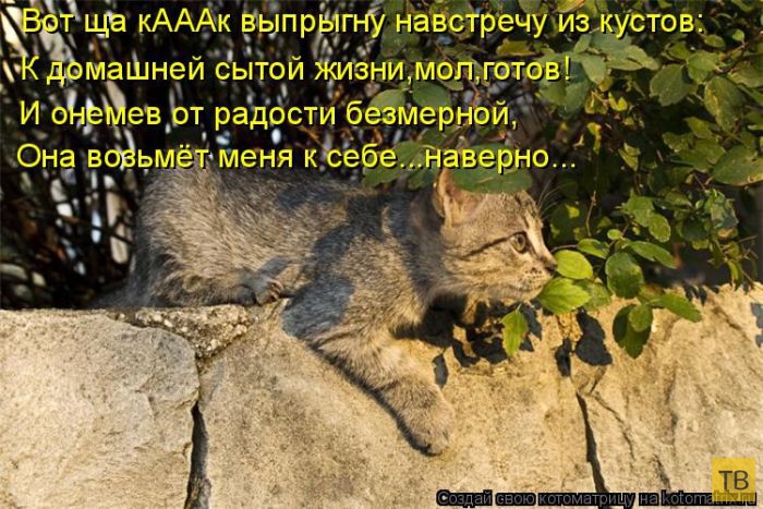 ������ ����������� �� ������, ����� 3 (50 ����)