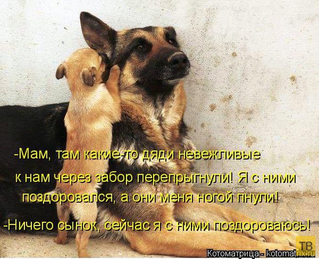 ������ ����������� �� ������, ����� 3 (50 ����)