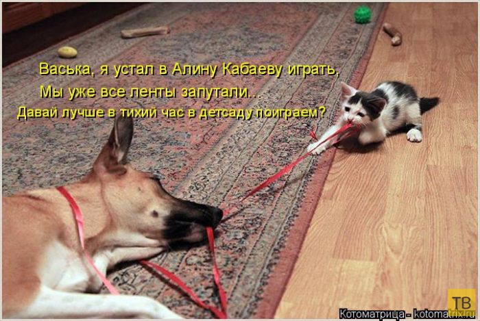 ������ ����������� �� ������, ����� 3 (50 ����)