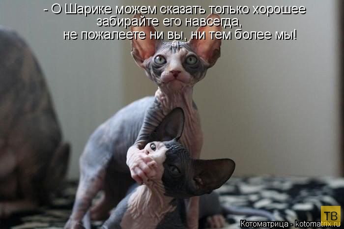 ������ ����������� �� ������, ����� 3 (50 ����)