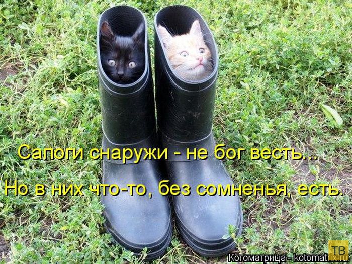 ������ ����������� �� ������, ����� 3 (50 ����)