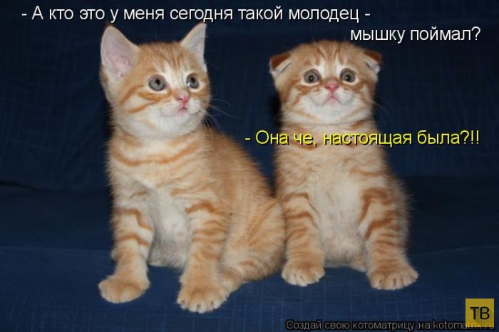 ������ ����������� �� ������, ����� 3 (50 ����)