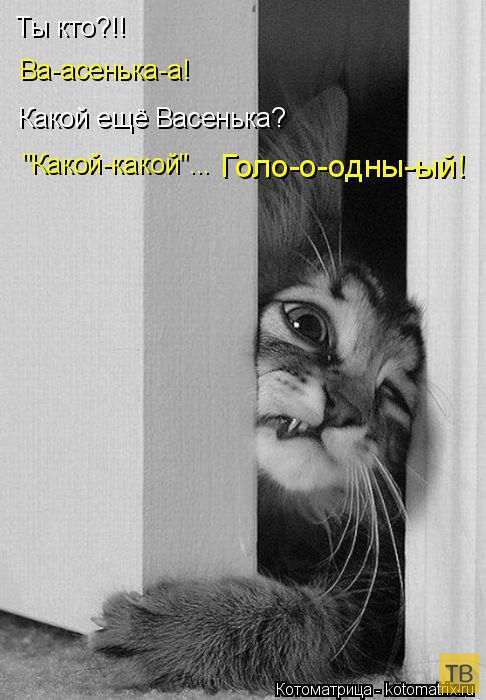 ������ ����������� �� ������, ����� 3 (50 ����)