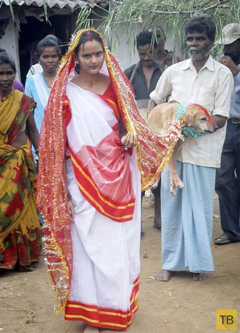 В Индии девушка вышла замуж за пса ради спасения деревни (6 фото)