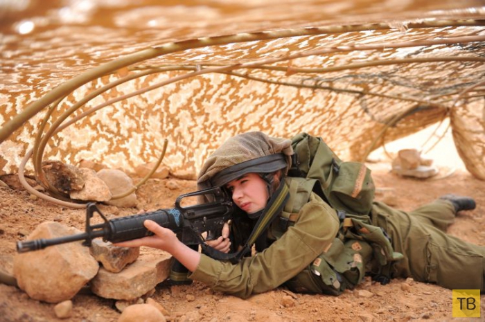 ������� � ����� � � ������� (20 ����)