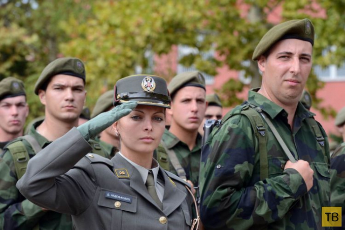 ������� � ����� � � ������� (20 ����)