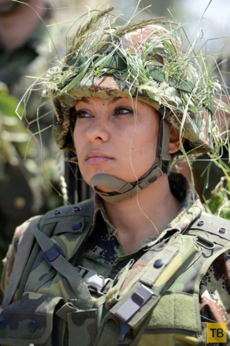 ������� � ����� � � ������� (20 ����)