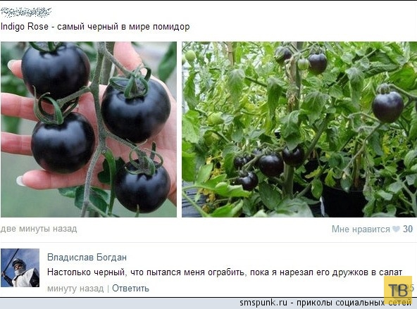 ���������� ����������� �� ���������� �����, ����� 209 (30 ����)