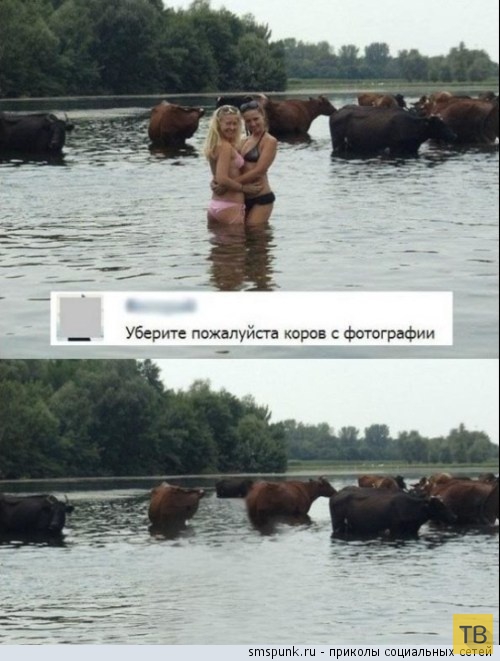 ���������� ����������� �� ���������� �����, ����� 209 (30 ����)