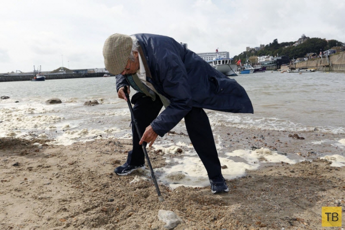 Золотая лихорадка на британском пляже (9 фото)