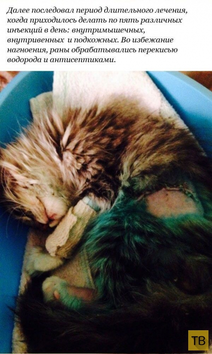 ������� �������� ������� � ������������� ������ (12 ����)