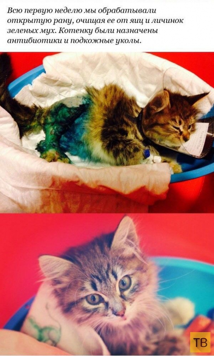 ������� �������� ������� � ������������� ������ (12 ����)