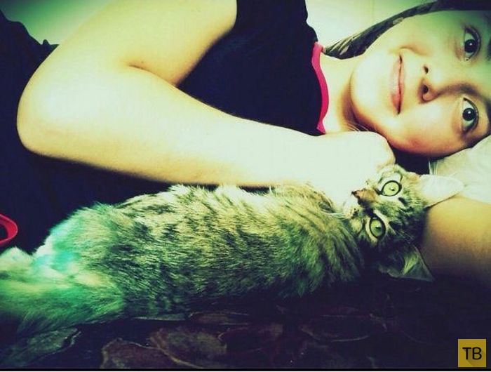 ������� �������� ������� � ������������� ������ (12 ����)