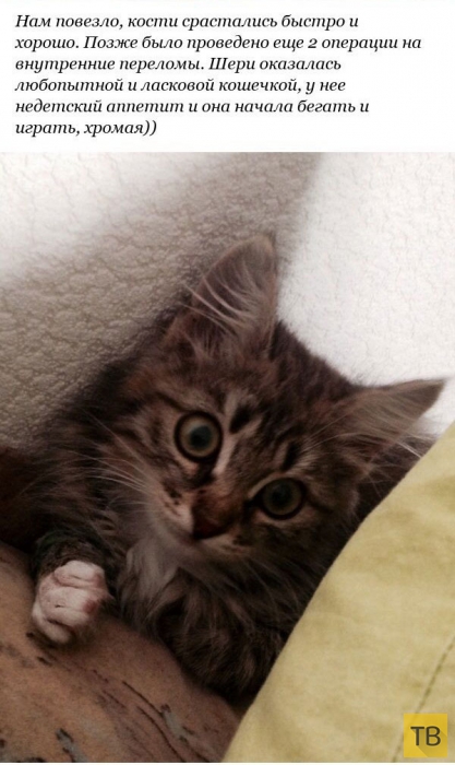 ������� �������� ������� � ������������� ������ (12 ����)